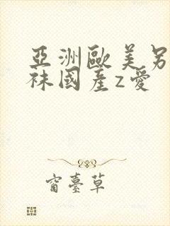 亚洲欧美另类丝袜国产z爱