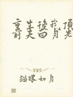 重生后我顶替了前夫白月光把