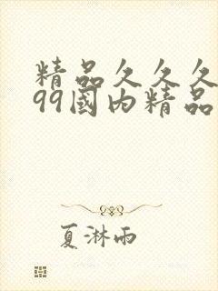 精品久久久久久99国内精品