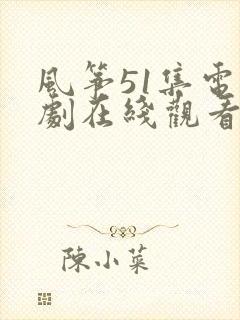 风筝51集电视剧在线观看免费全集