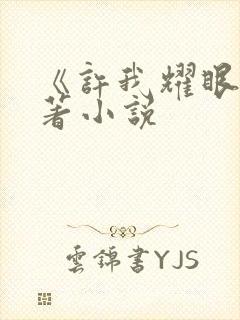 《许我耀眼》原著小说