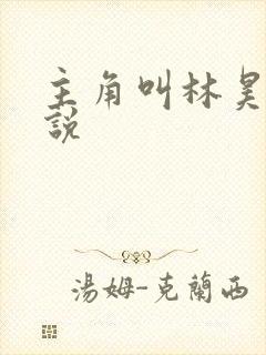 主角叫林昊的小说