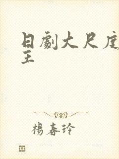 日剧大尺度双男主