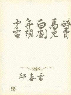 少年白马醉春风电视剧免费观看完整版星辰