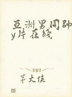 亚洲男同帅gay片在线