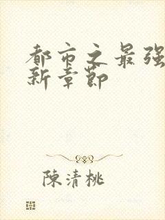 都市之最强狂兵新章节