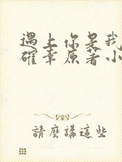 遇上你是我的小确幸原著小说