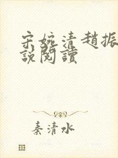 宋婉清赵振国小说阅读封面