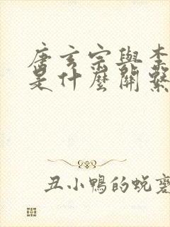 唐玄宗与李世民是什么关系封面