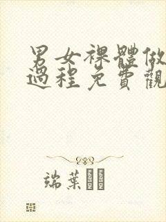 男女裸体做爰全过程免费观看