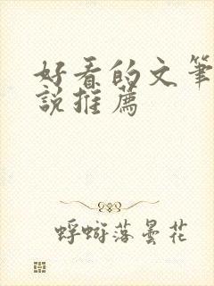 好看的文笔好小说推荐封面