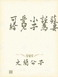 可爱小说苏玛嫁给儿子为妻小说全文