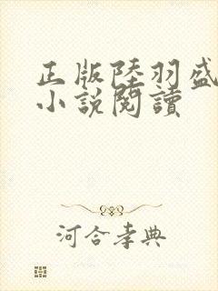 正版陆羽盛凌云小说阅读封面