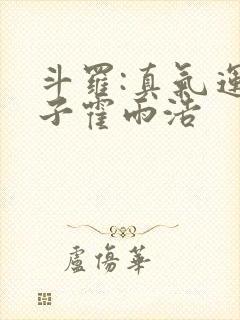 斗罗:真气运之子霍雨浩封面