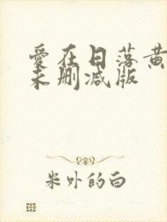 爱在日落黄昏时未删减版封面