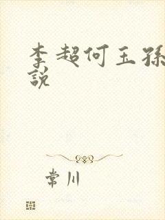 李超何玉孙敏小说