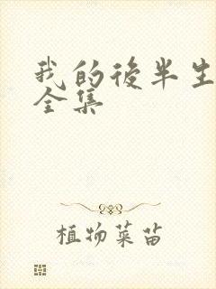 我的后半生免费全集