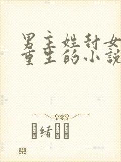 男主姓封女主是重生的小说