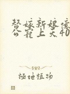 替嫁新娘亿万老公宠上天40集