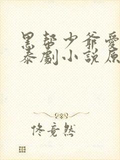 黑帮少爷爱上我泰剧小说原著