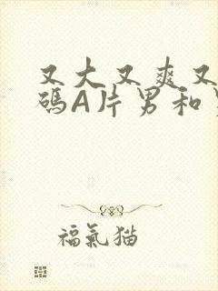 又大又爽又黄无码A片男和男