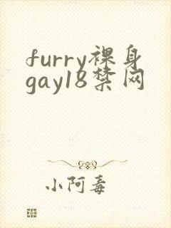 furry裸身gay18禁网