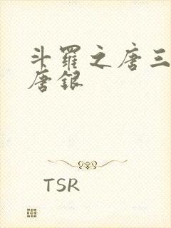 斗罗之唐三他哥唐银