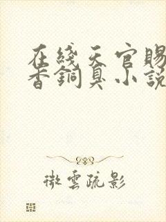 在线天官赐福墨香铜臭小说免费