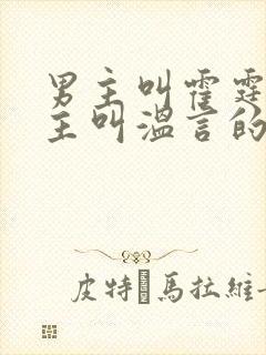 男主叫霍霆琛女主叫温言的小说封面