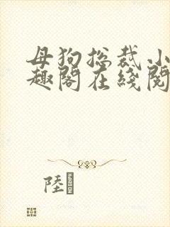 母狗总裁小说笔趣阁在线阅读