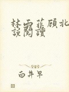 林雨菲顾北潇小说阅读