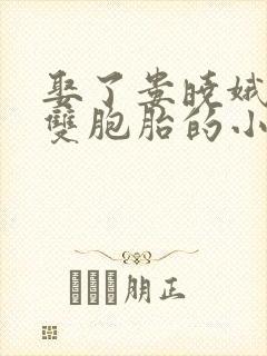 娶了娄晓娥生了双胞胎的小说