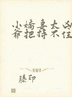 小娇妻太凶,陆爷把持不住了