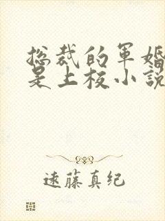 总裁的军婚老婆是上校小说