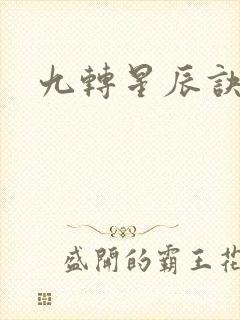 九转星辰诀苏阳