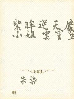 紫眸逆天废柴大小姐 云霄笙