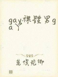 gay裸体男ga丫