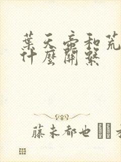 叶天帝和荒天帝什么关系