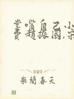 掌嘴自己小说免费赵振国,宋婉清