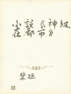 小说《神级高手在都市》