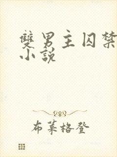 双男主囚禁调教小说