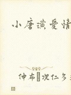 小唐璜爱情历史