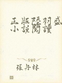 正版陆羽盛凌云小说阅读封面