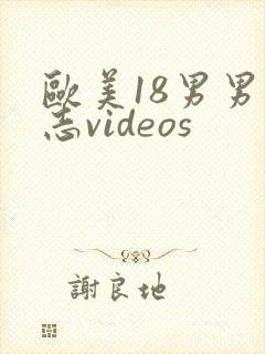 欧美18男男同志videos