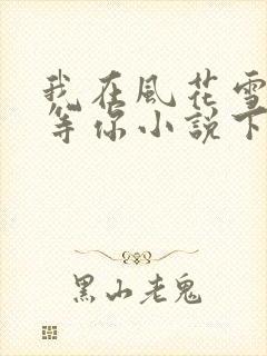 我在风花雪月里等你小说下载txt封面