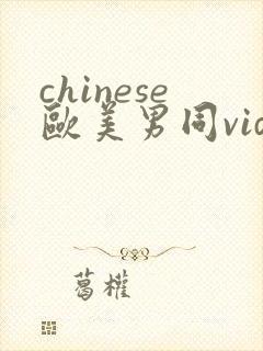 chinese欧美男同videos