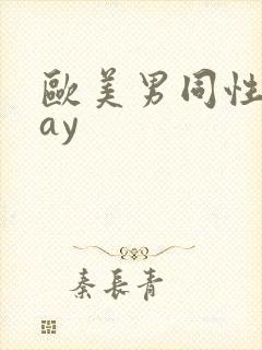 欧美男同性恋gay