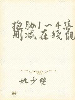 抱胁1～4集无删减在线观看