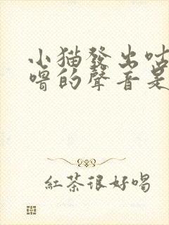 小猫发出咕噜咕噜的声音是怎么回事