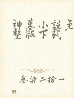 神墓小说免费完整版下载